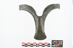 Foto von Bronzeflügelortband (NHMW-PRAE-024622)